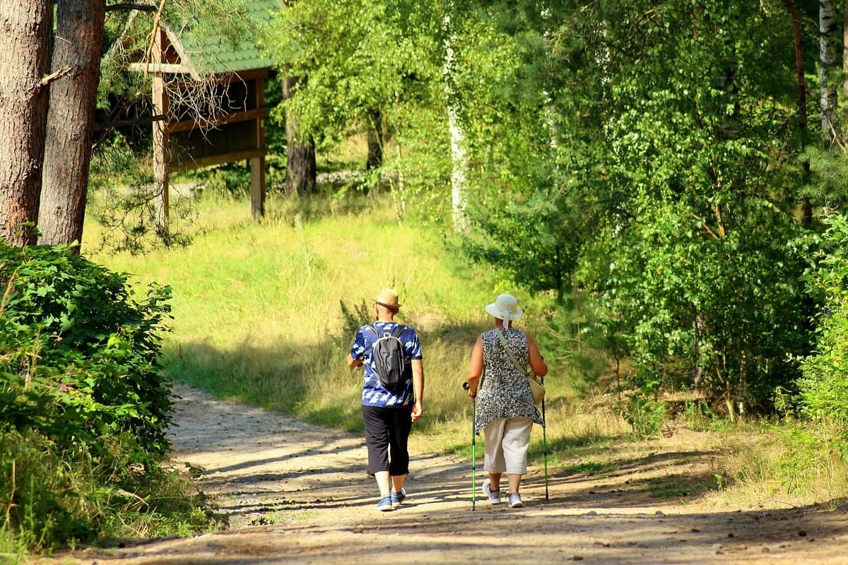 estate esercizi ginocchia
